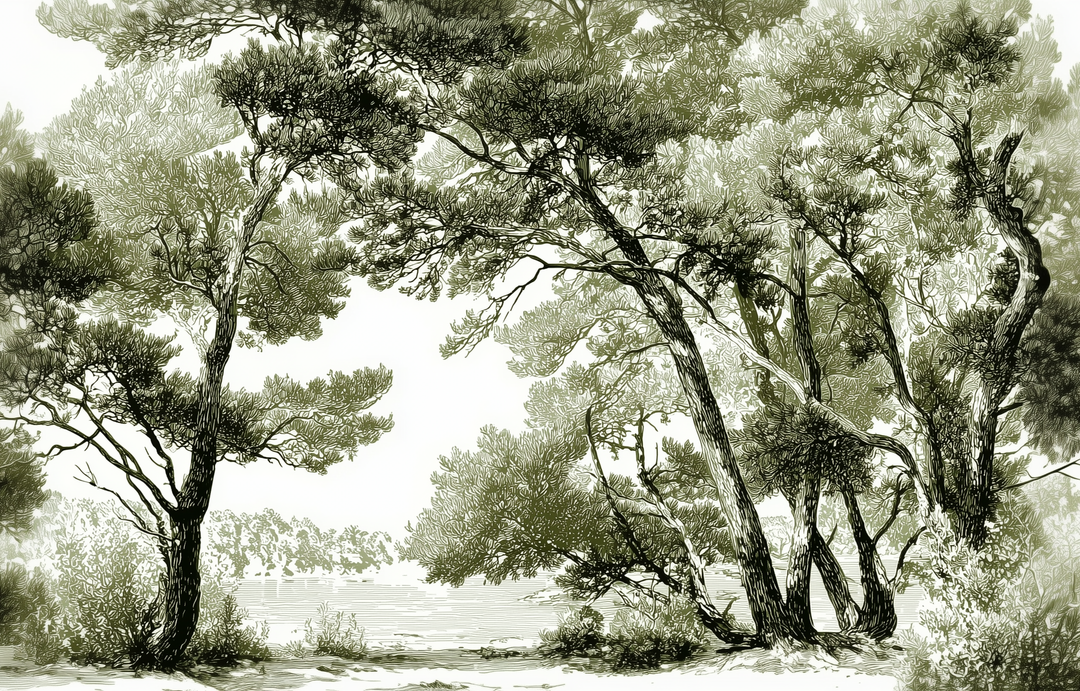 Image croppée