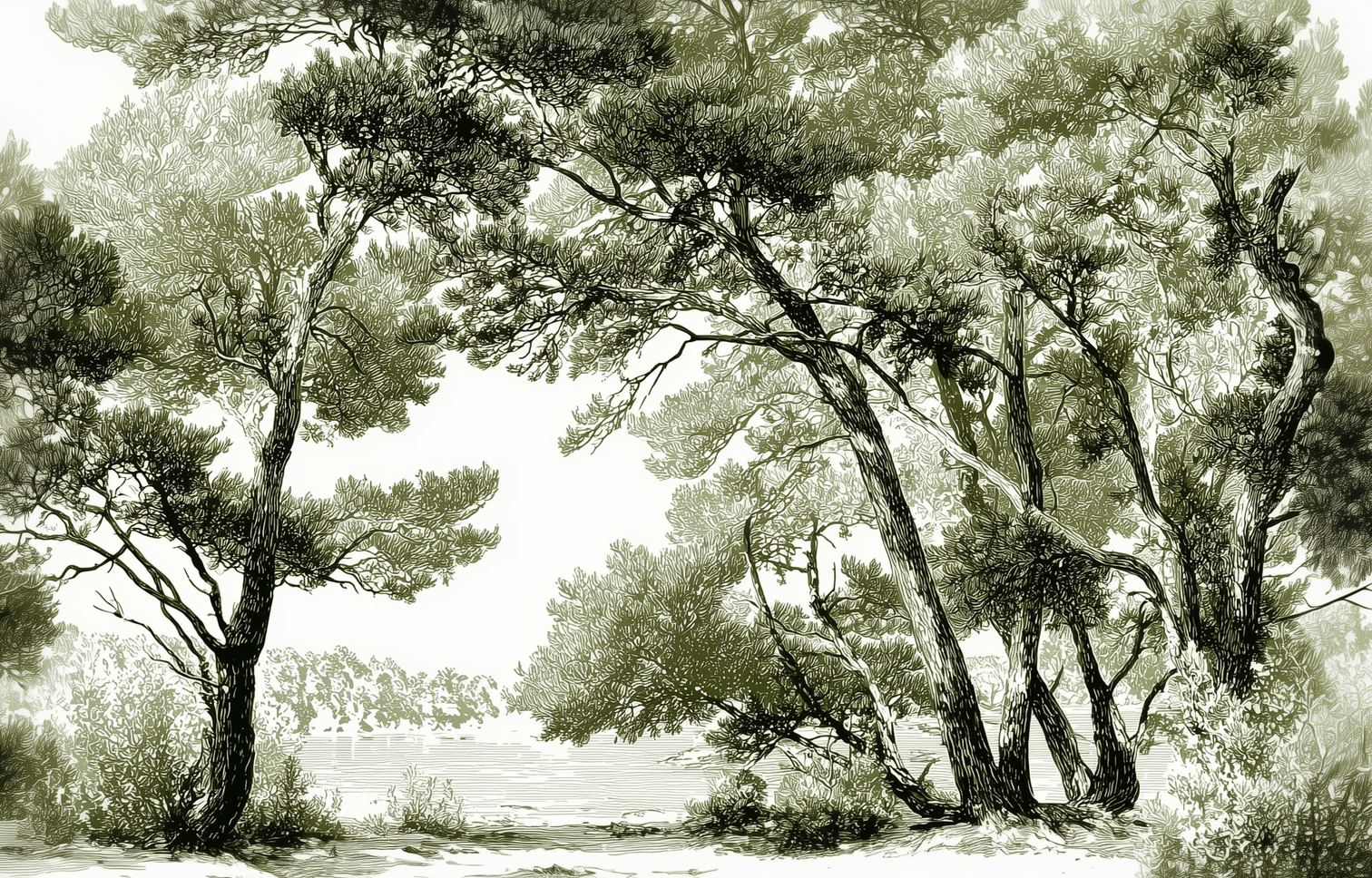 Image croppée