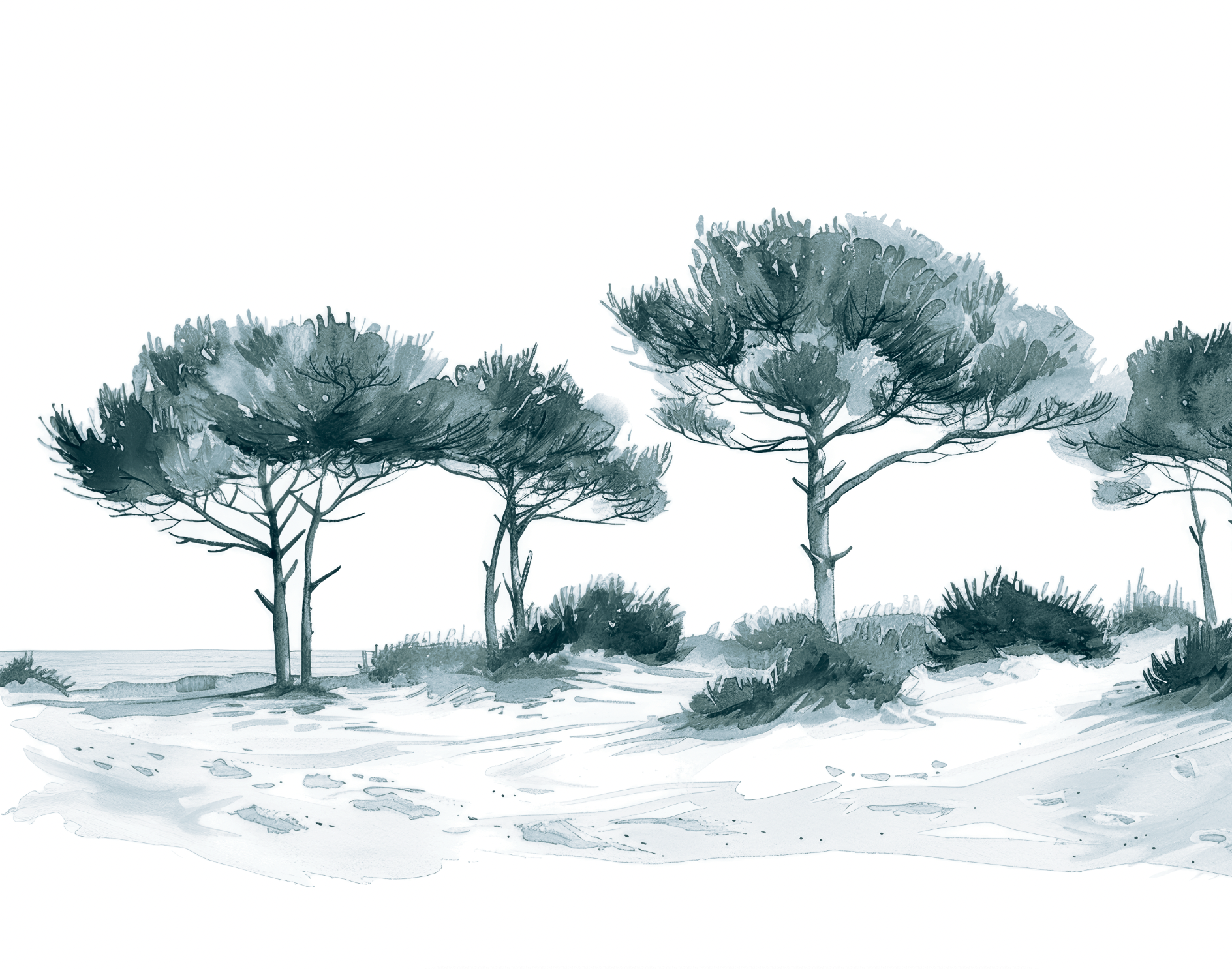 Les Pins de la Plage Bleu gris