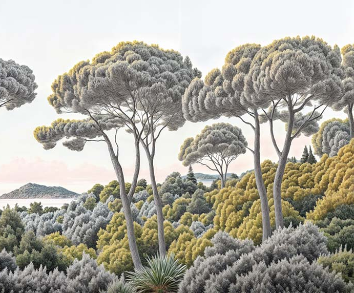 Image croppée