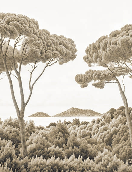 Image croppée