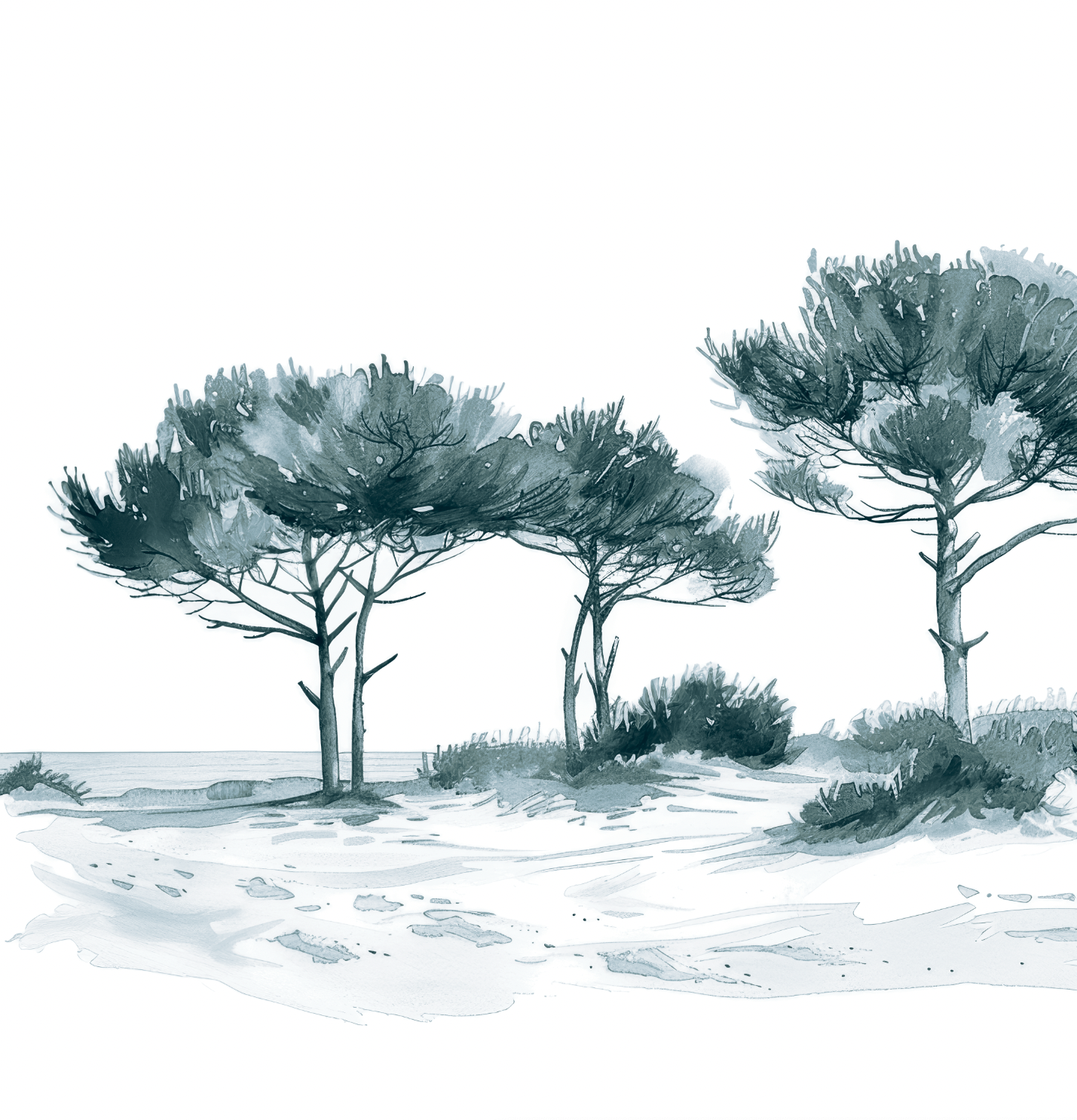 Les Pins de la Plage Bleu gris