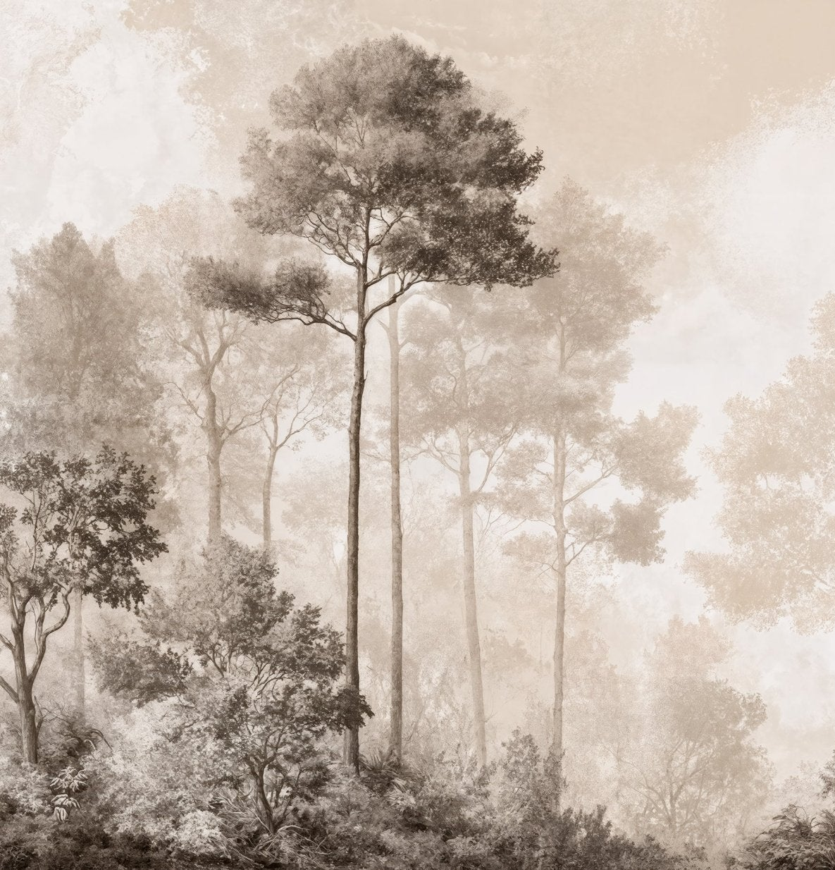 Forêt des Silences