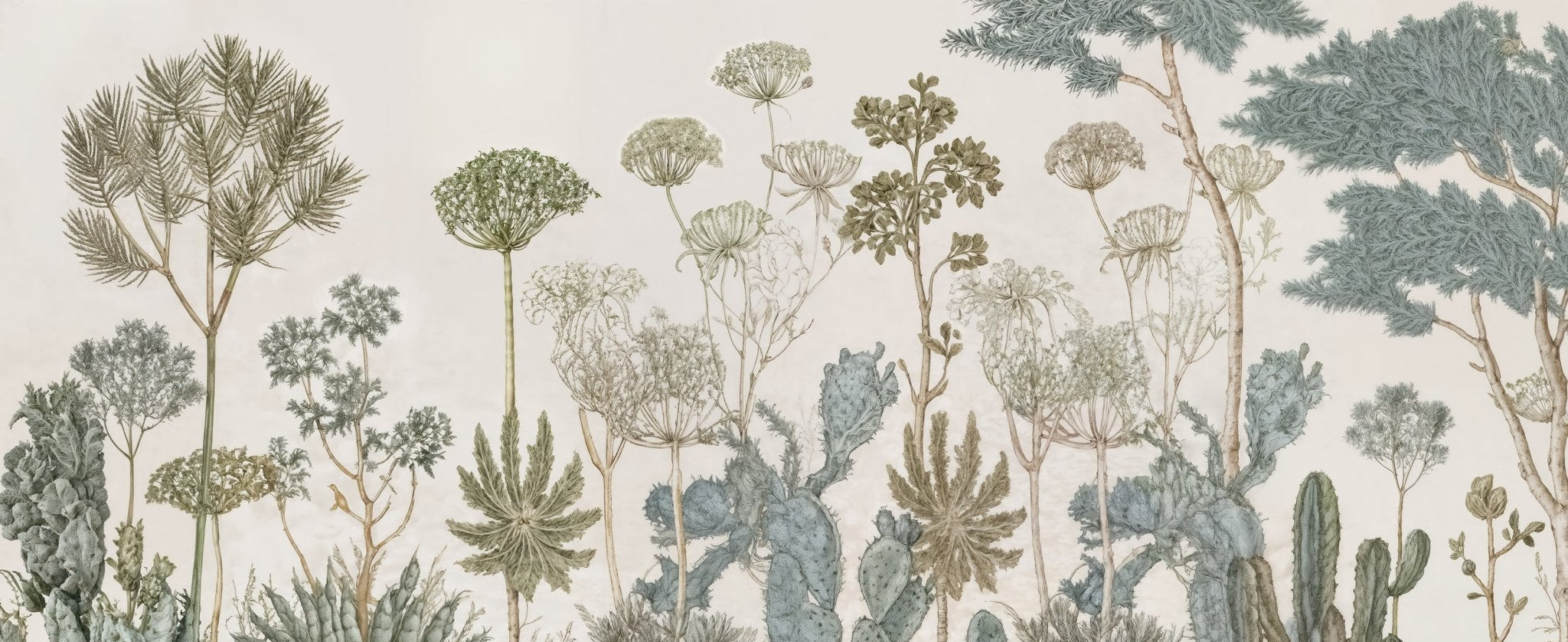 Herbarium Cactus