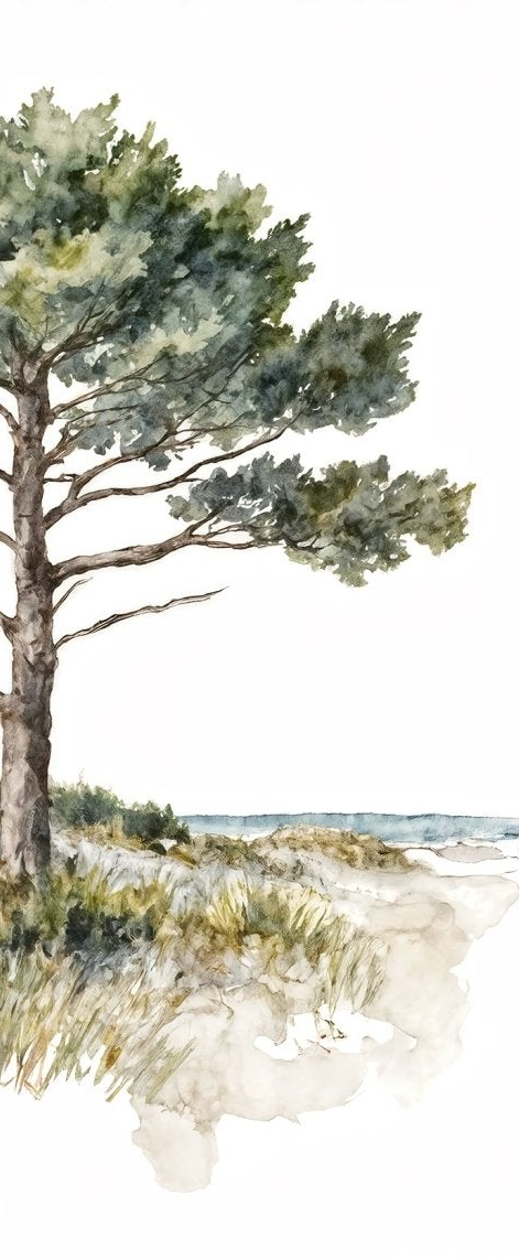 Image croppée