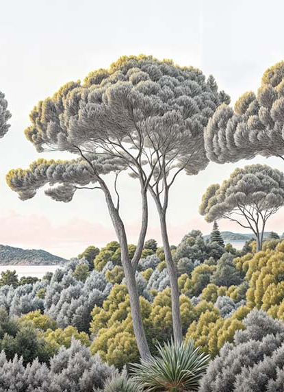 Image croppée