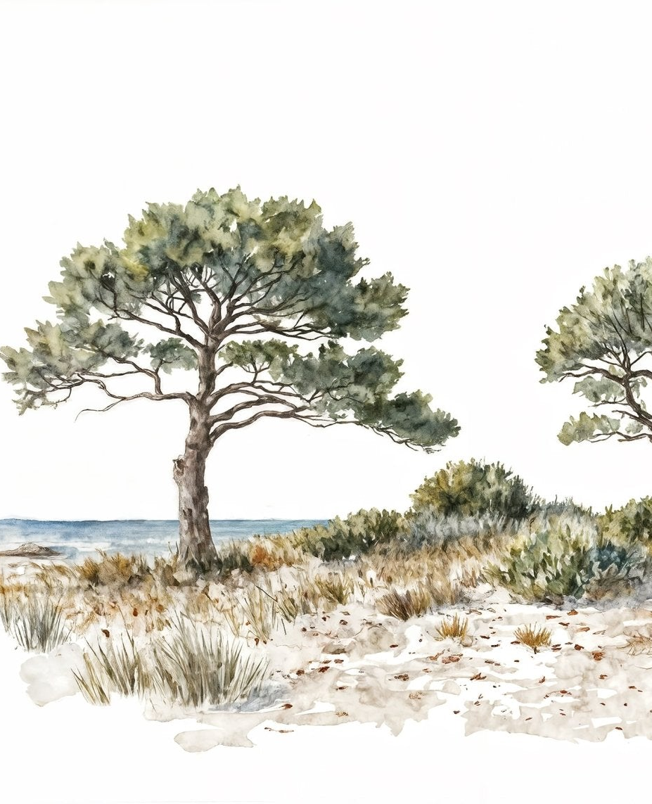 Image croppée