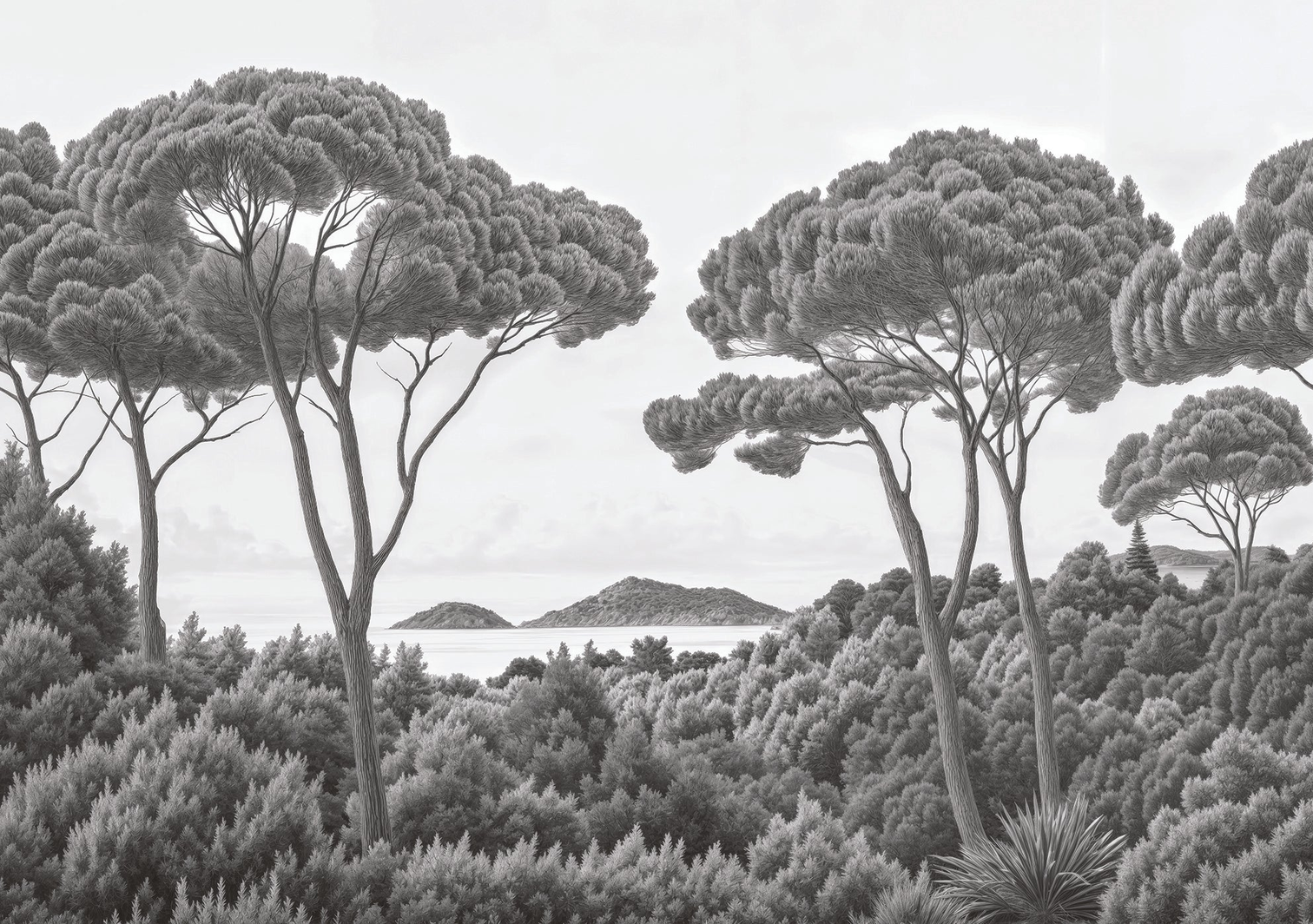 Image croppée