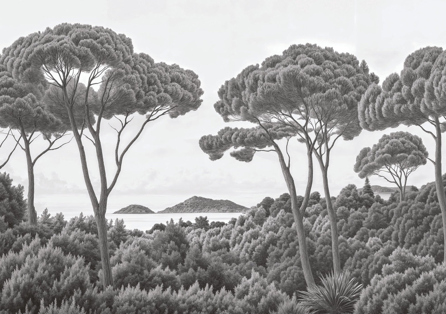 Image croppée