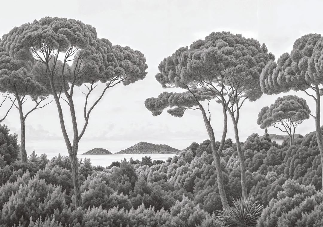Image croppée