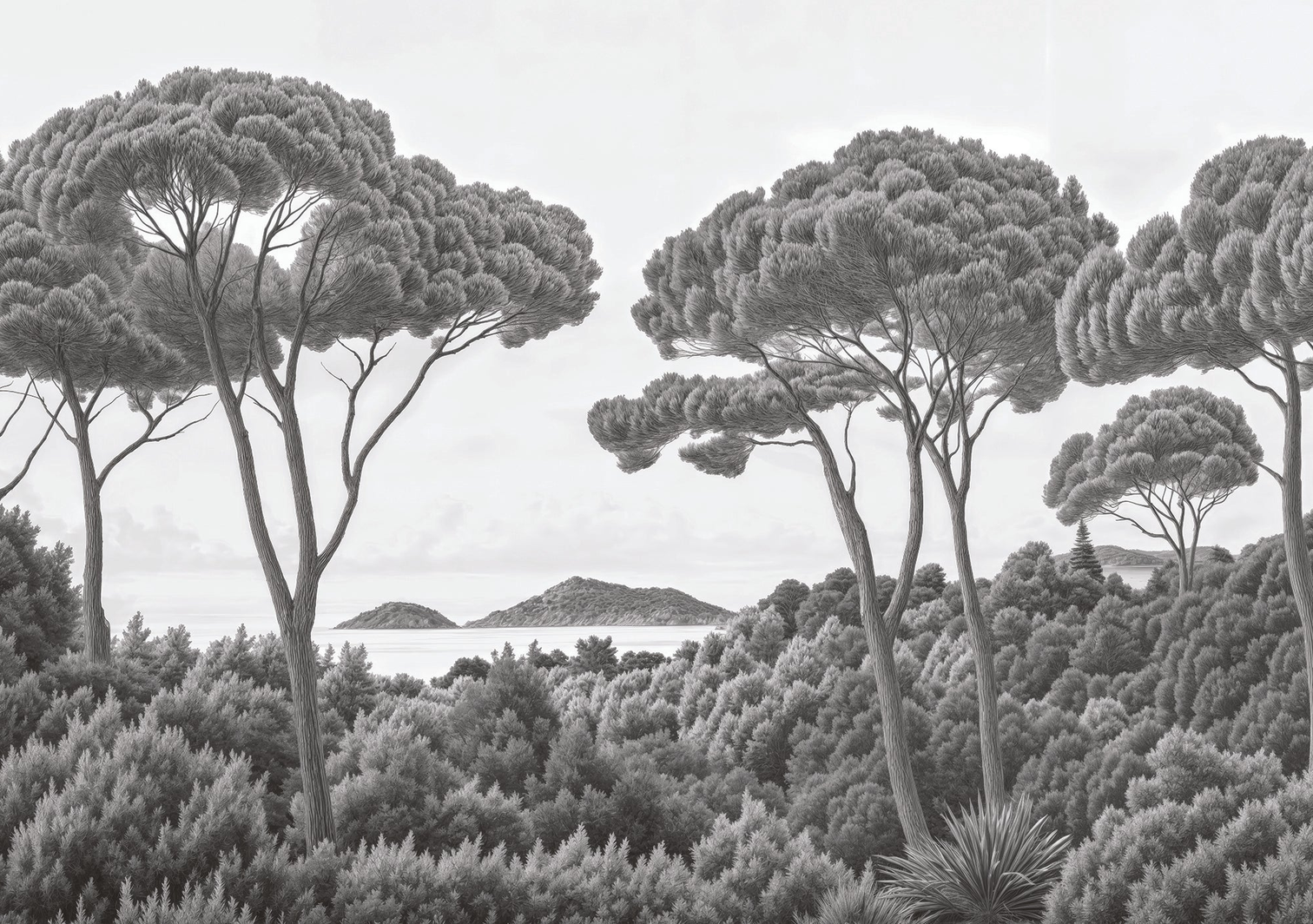 Image croppée