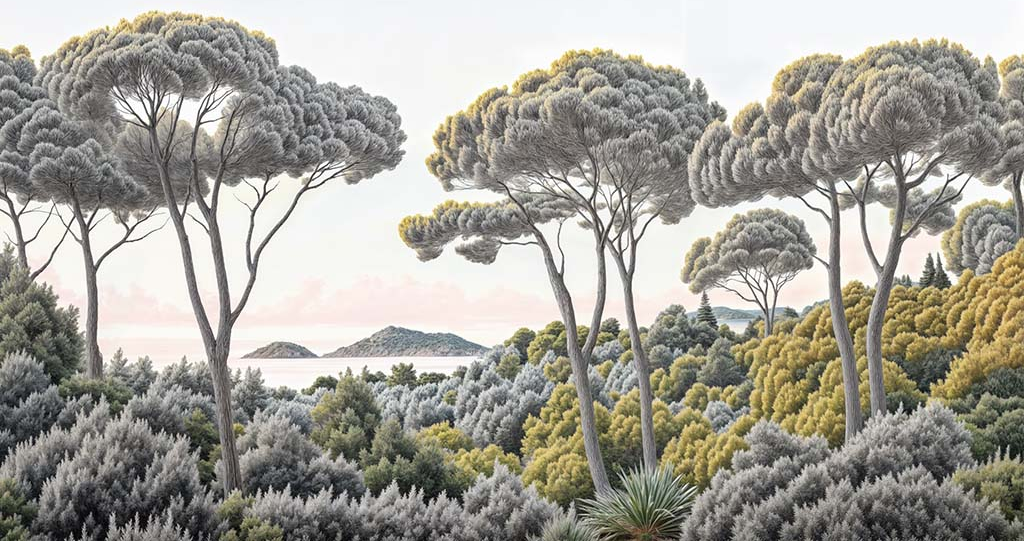 Image croppée