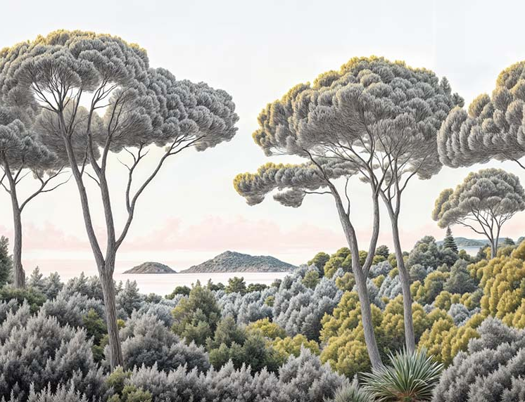 Image croppée