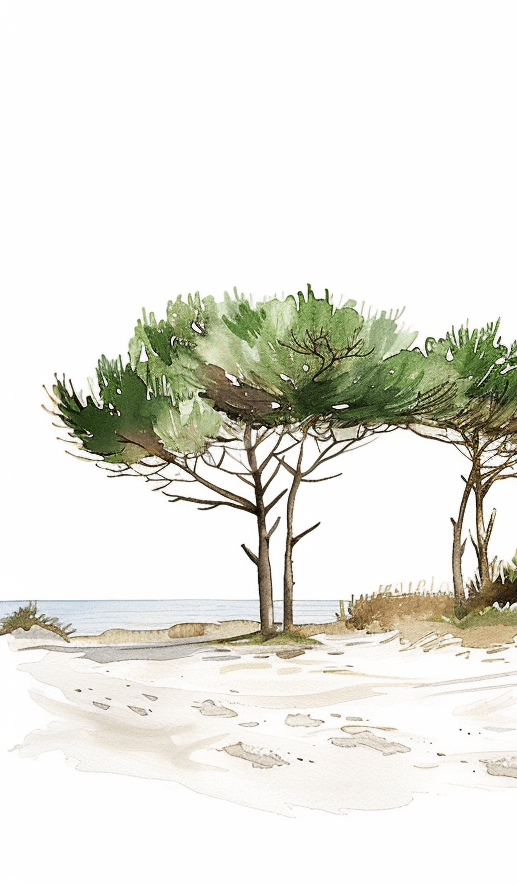 Image croppée