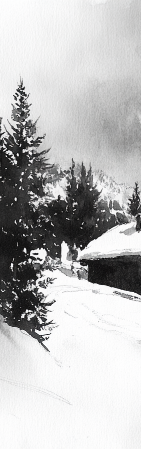 Image croppée