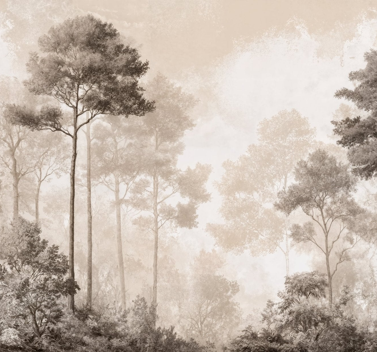Forêt des Silences