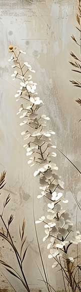 Image croppée