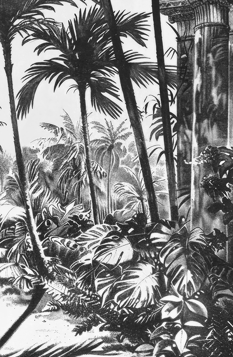 Image croppée