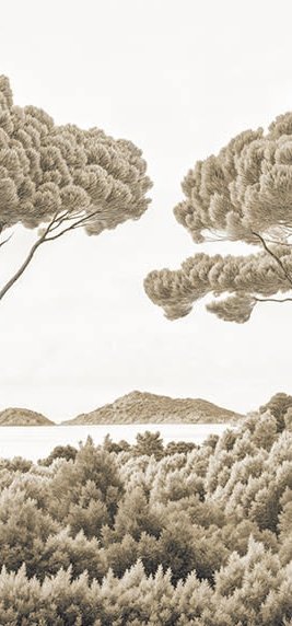 Image croppée
