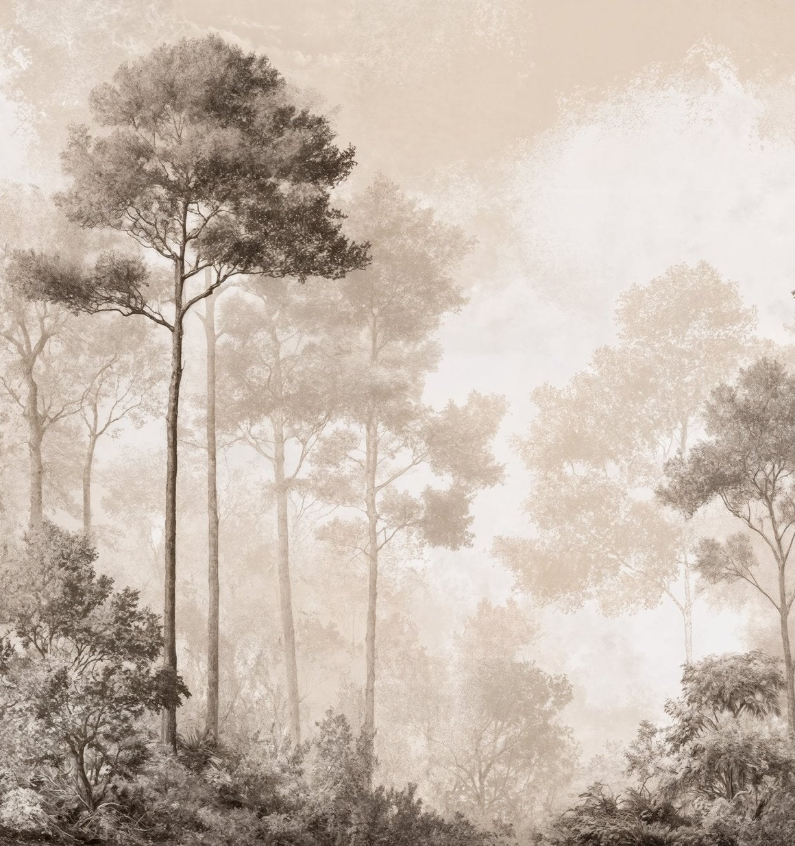 Forêt des Silences