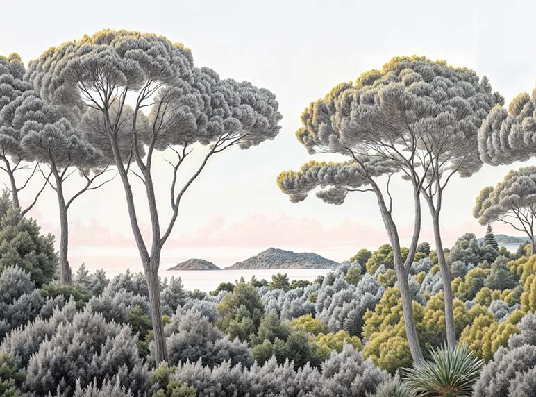 Image croppée