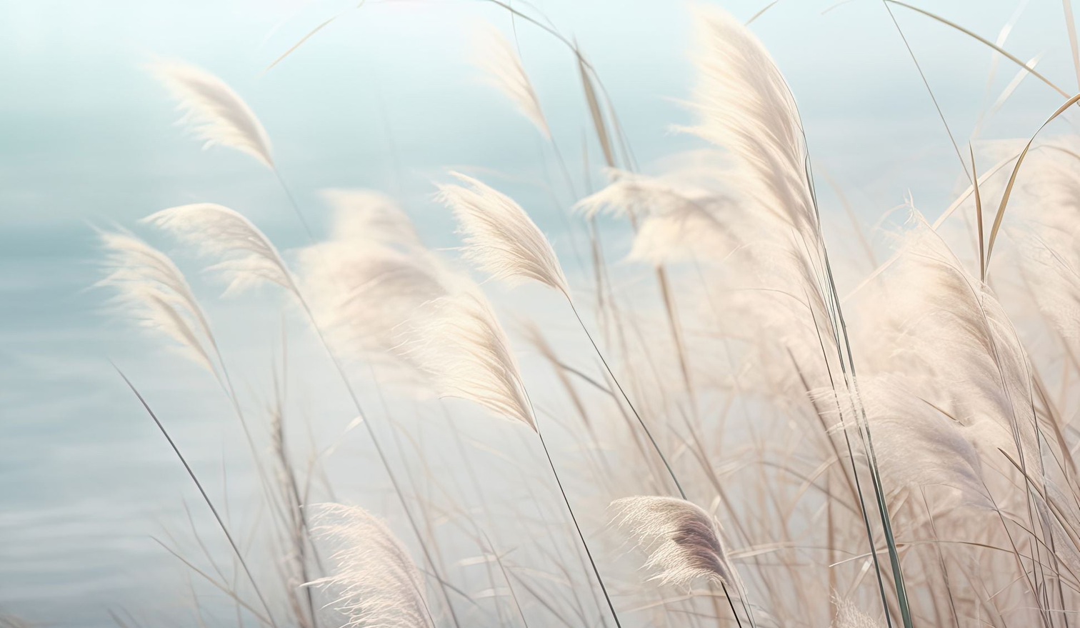 Image croppée