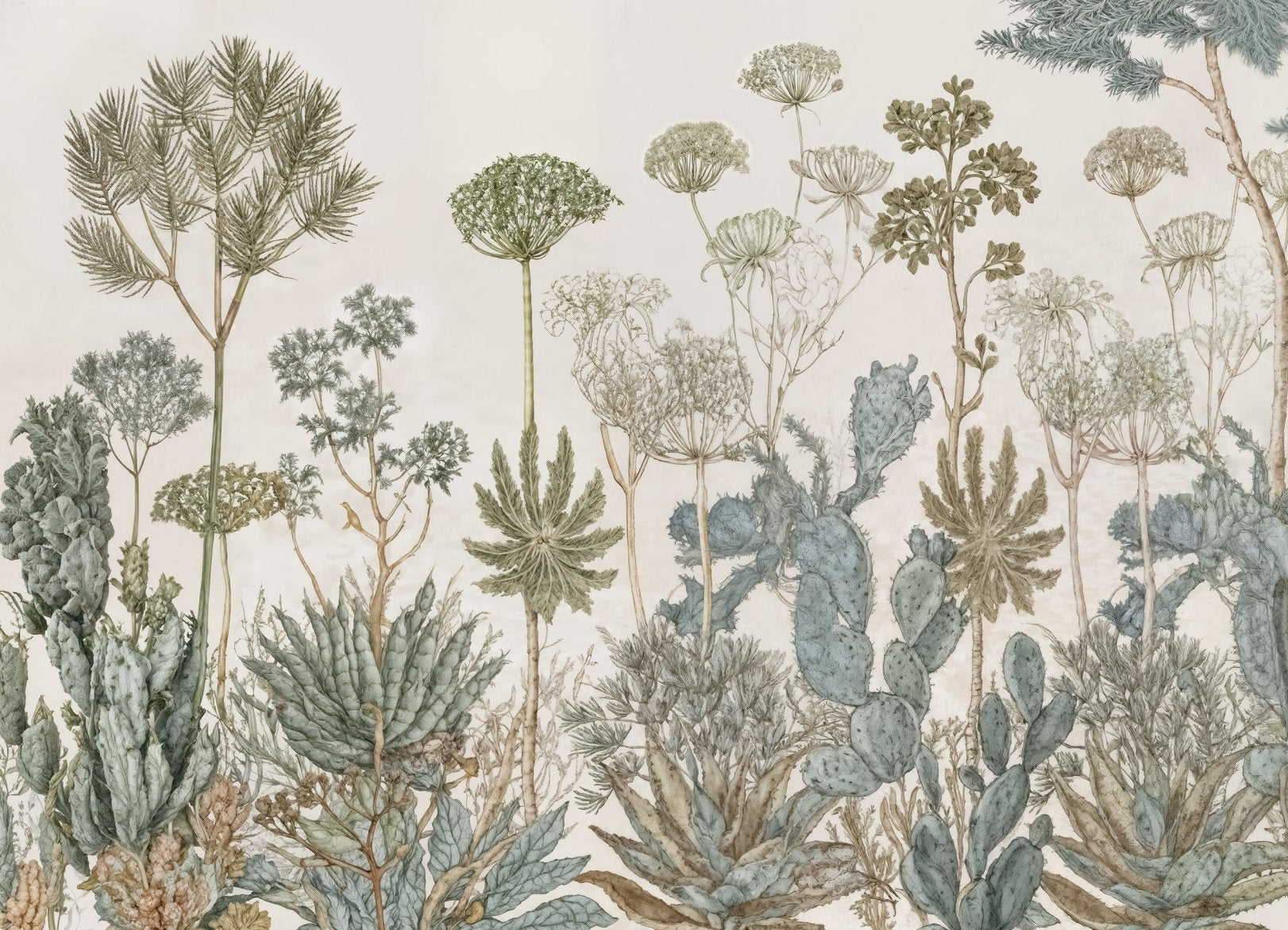 Herbarium Cactus