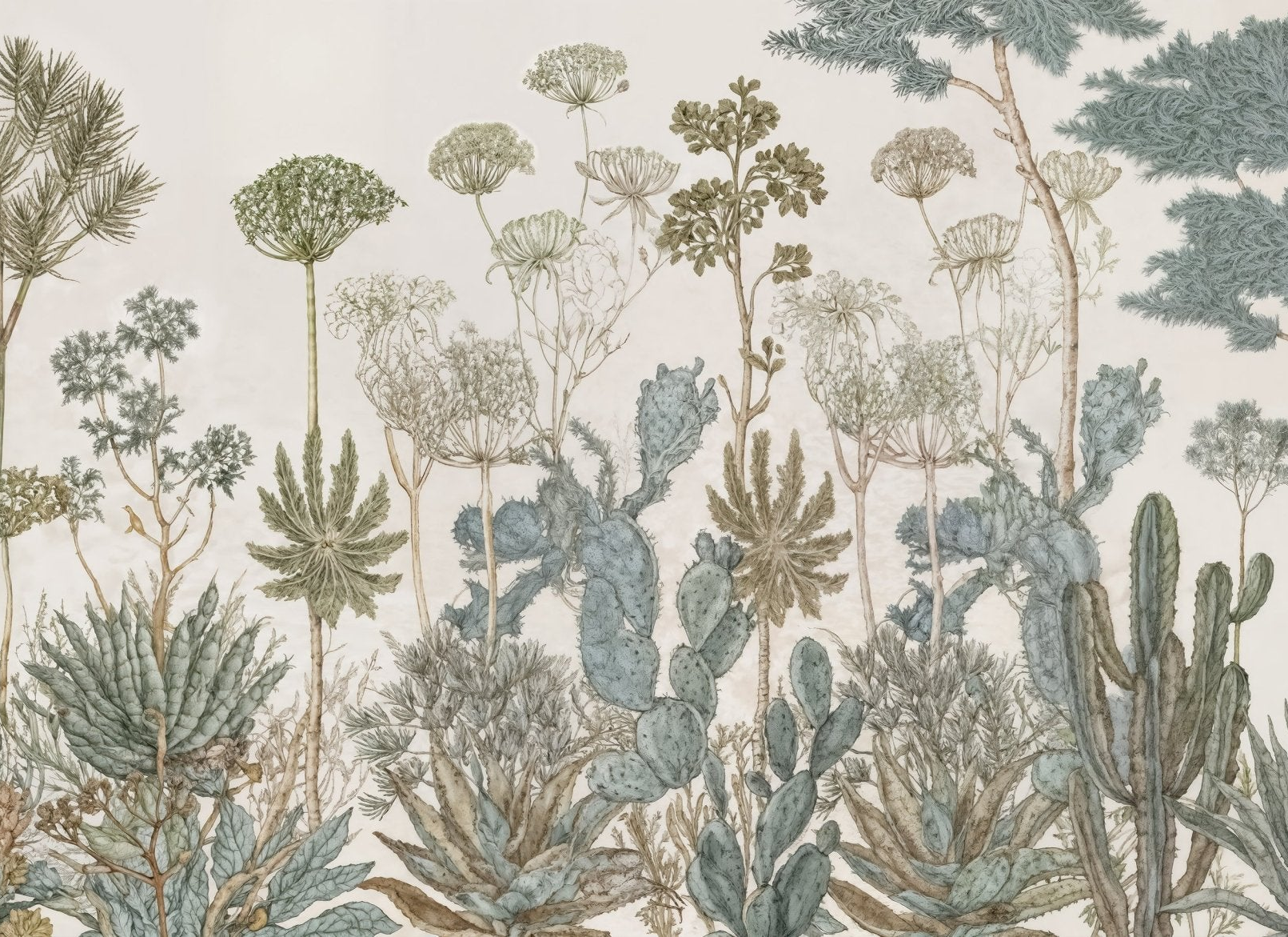 Herbarium Cactus