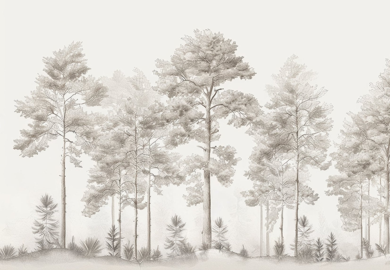 Douceurs des bois