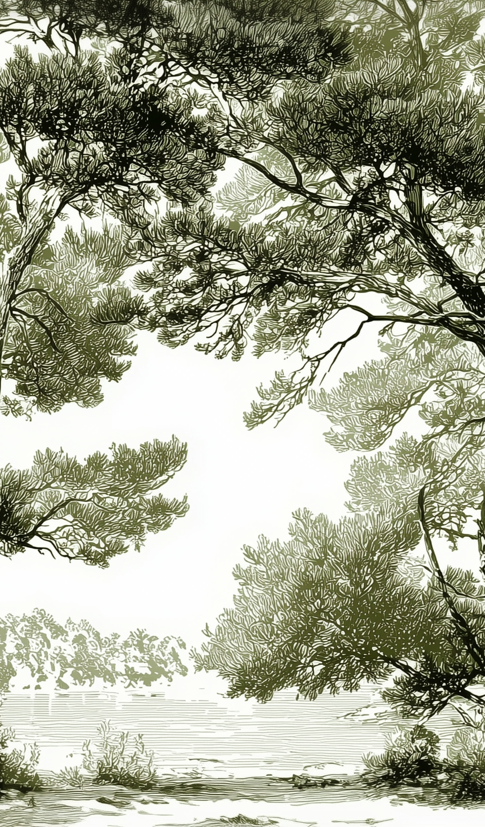 Image croppée