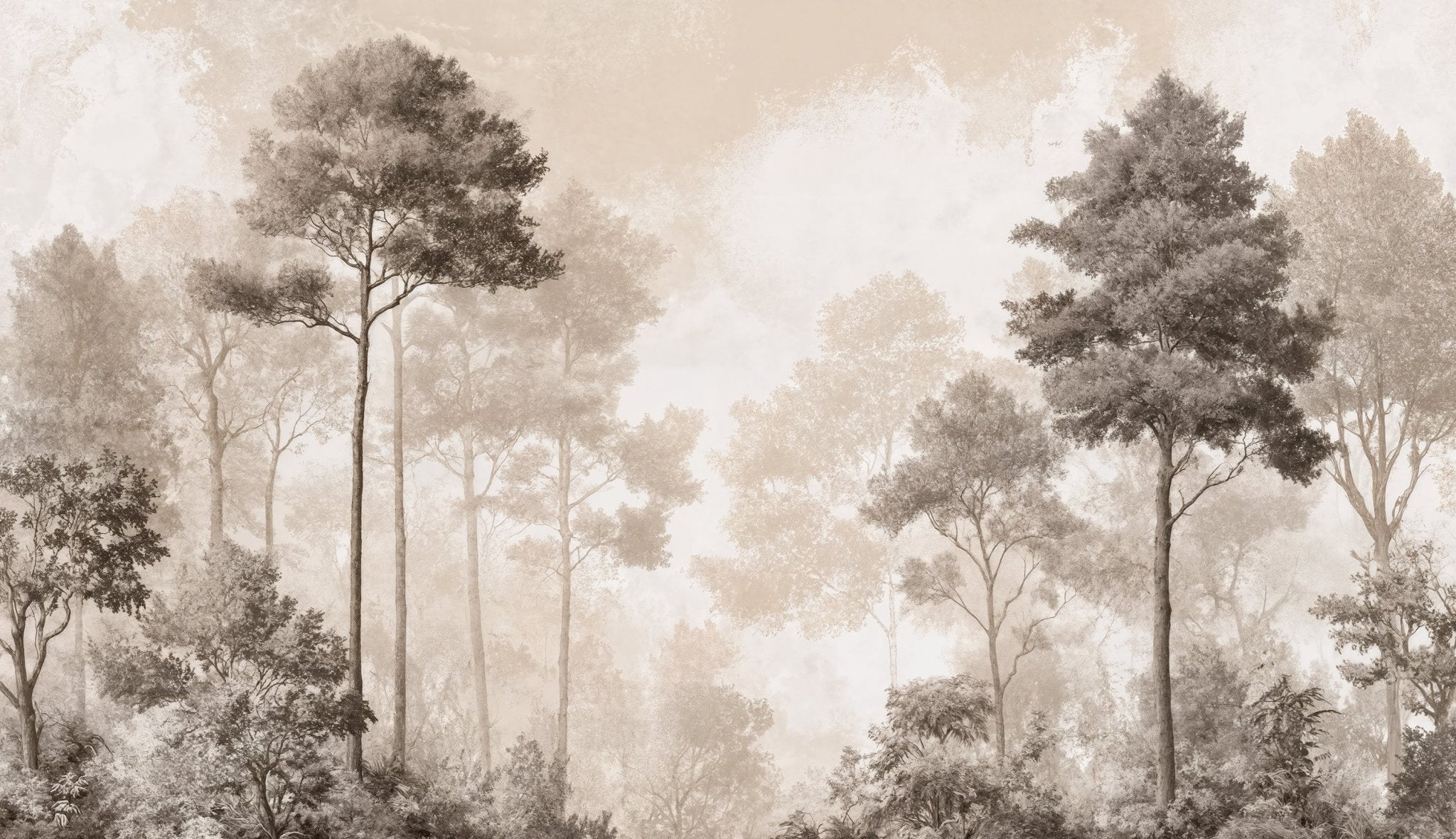 Forêt des Silences