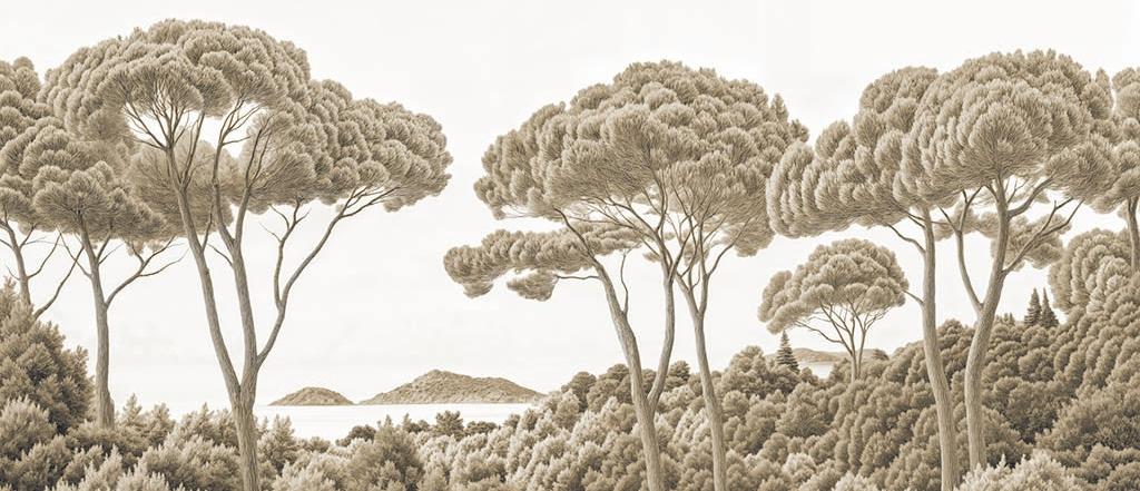 Image croppée