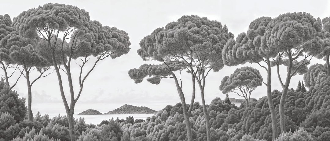 Image croppée
