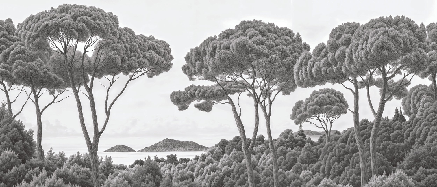 Image croppée