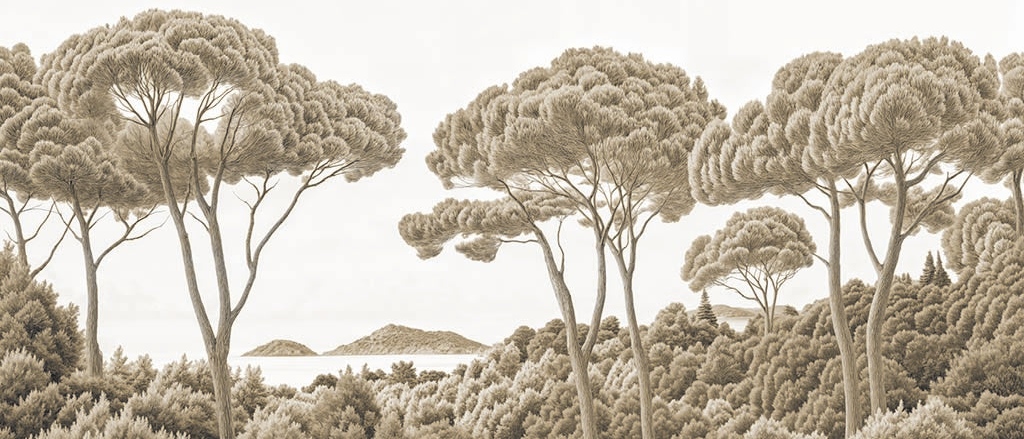 Image croppée
