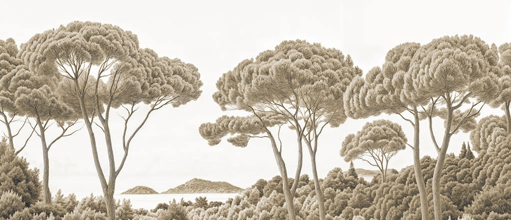 Image croppée