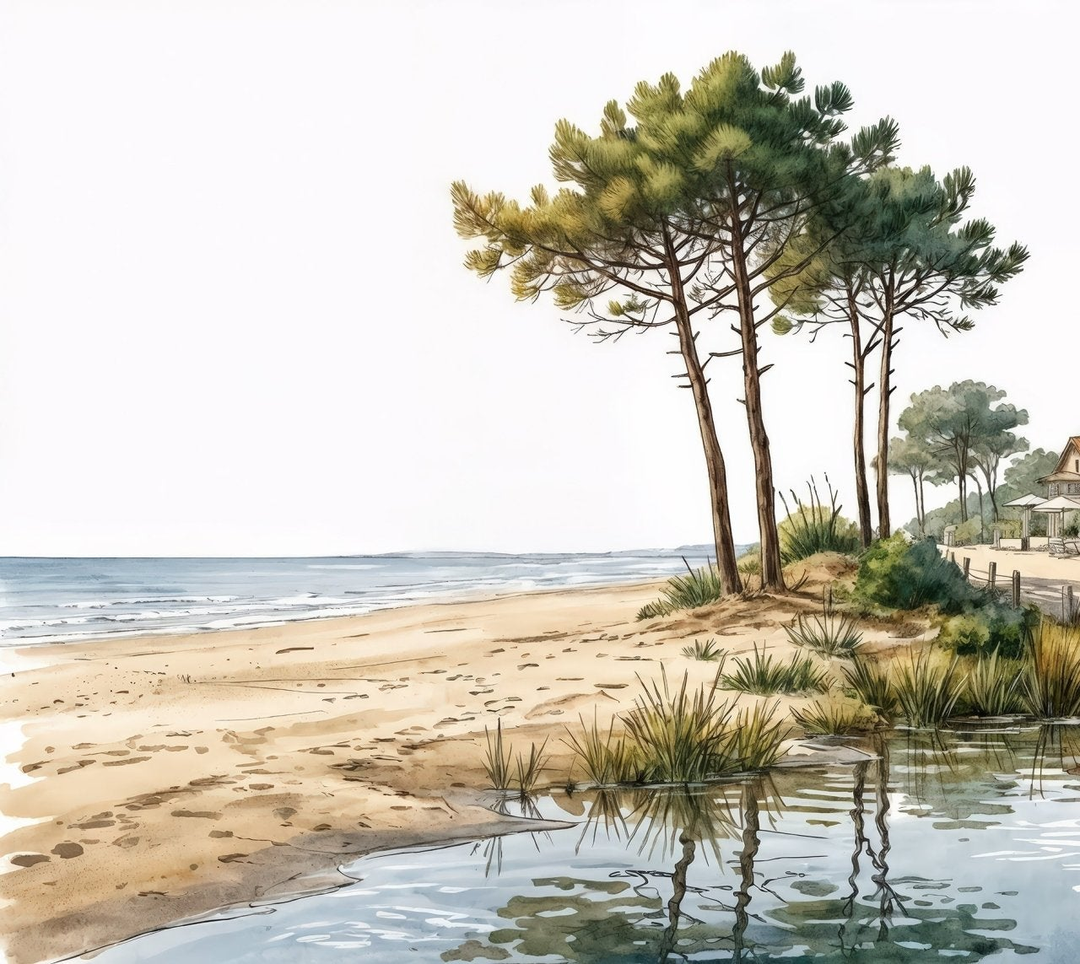 Image croppée