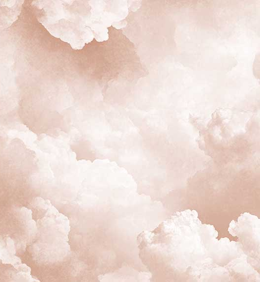 Ciel de Douceur Abricot