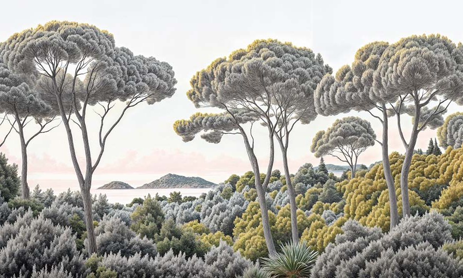Image croppée