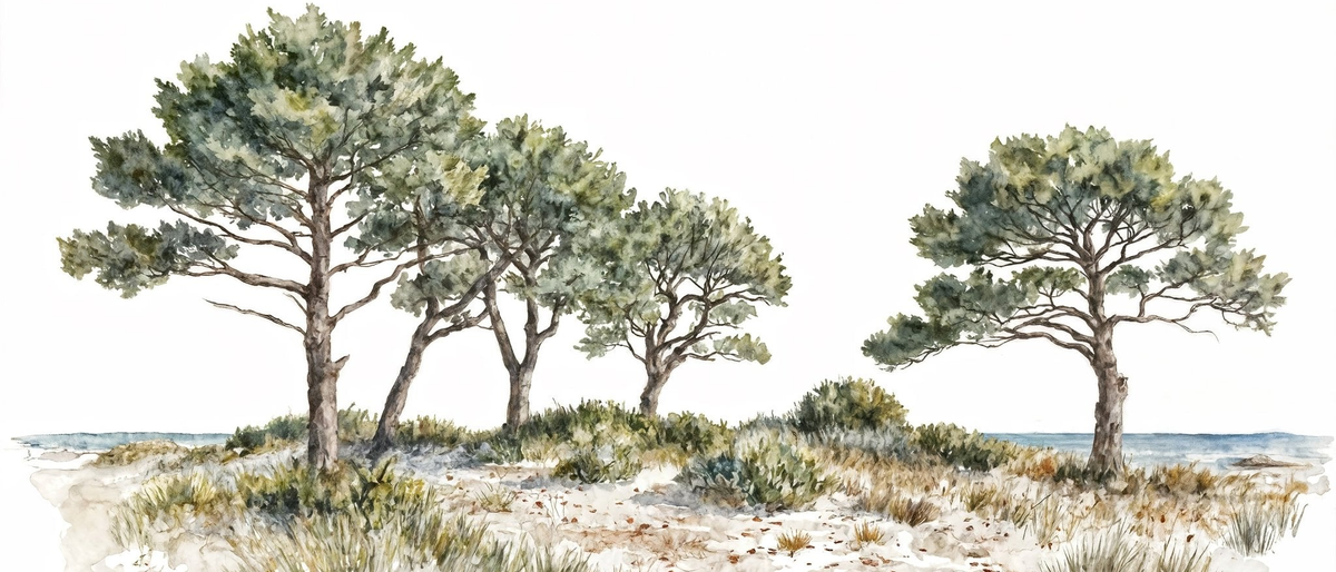 Image croppée