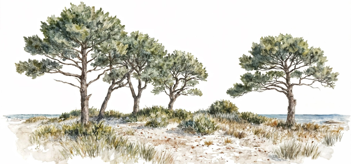 Image croppée