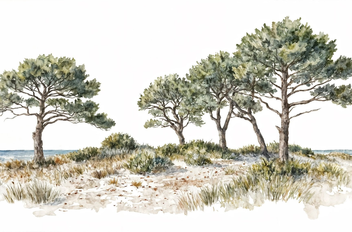 Image croppée