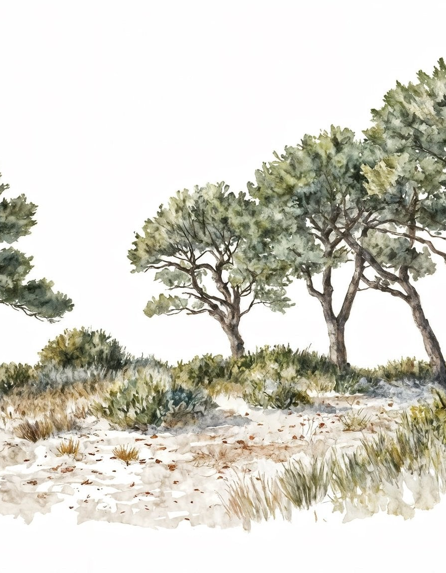 Brise des dunes