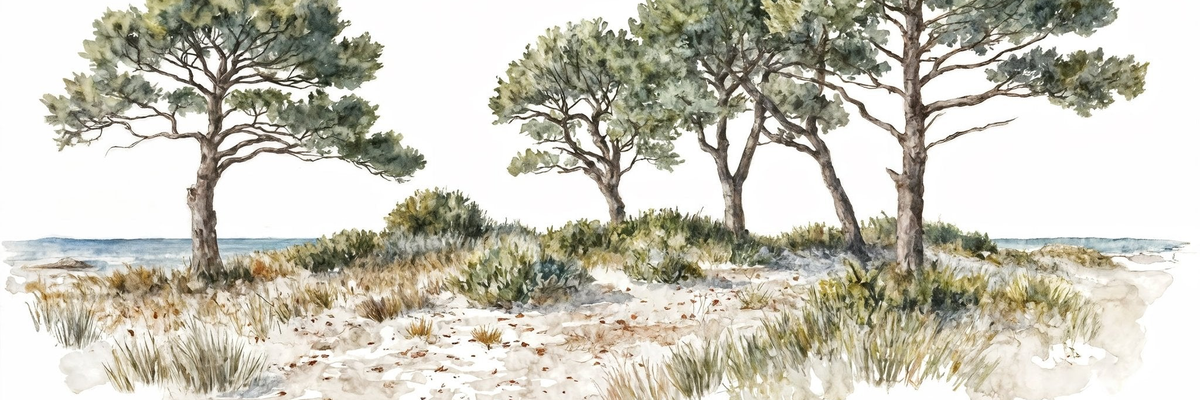 Brise des dunes