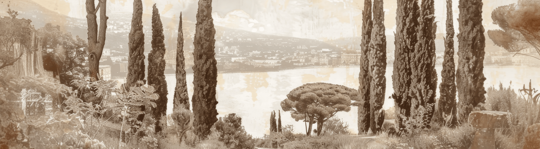 Image croppée