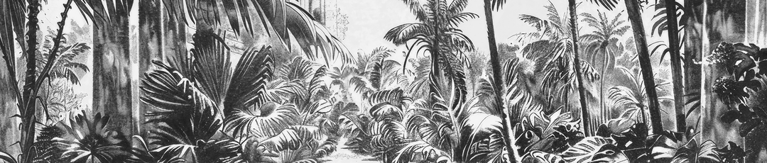 Image croppée