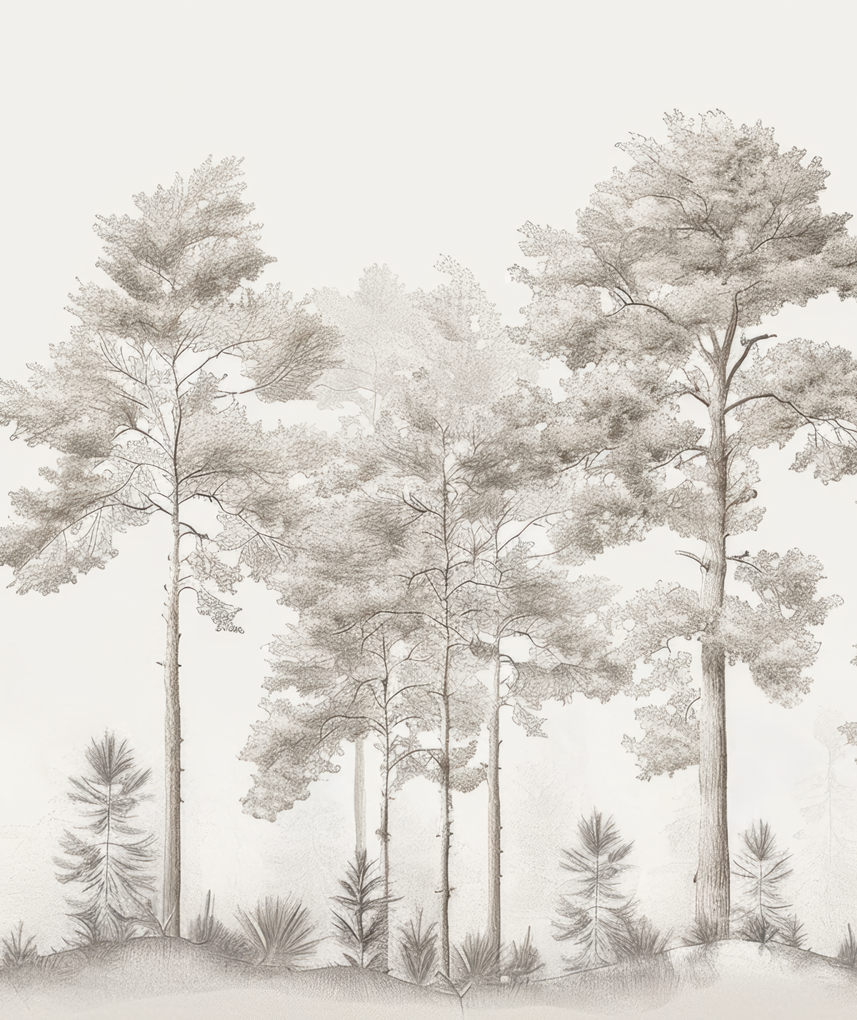 Douceurs des bois