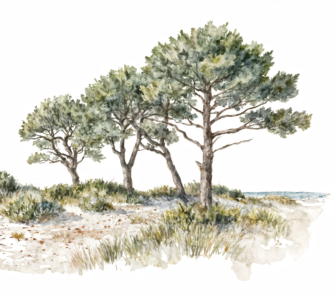 Image croppée