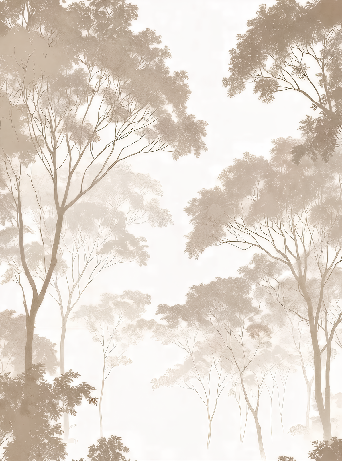 Bois de lumière