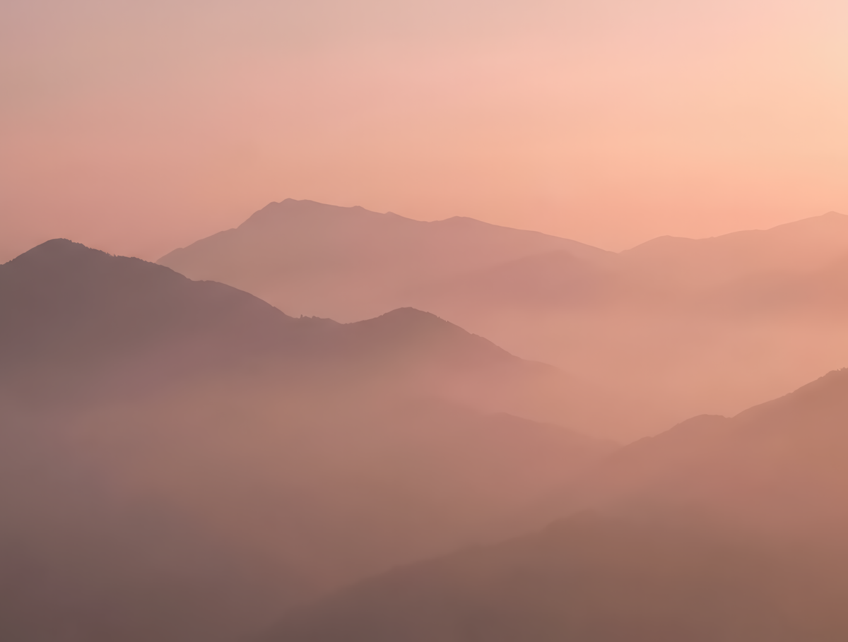 Image croppée